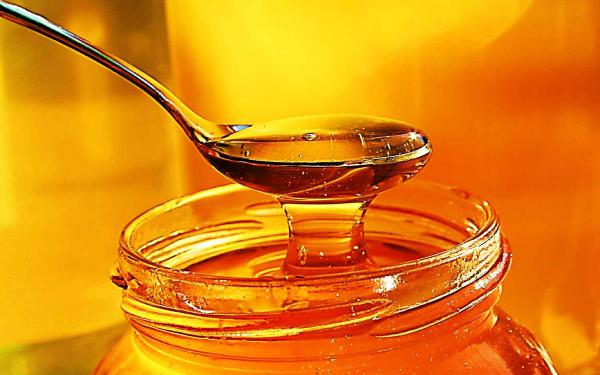 تولید عسل | پخش عمده عسل در سراسر کشور