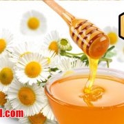 قیمت عسل خرید اینترنتی عسل