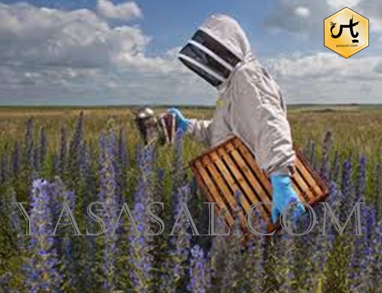 انواع تجهیزات زنبورداری