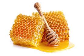 قیمت عسل طبیعی کنار